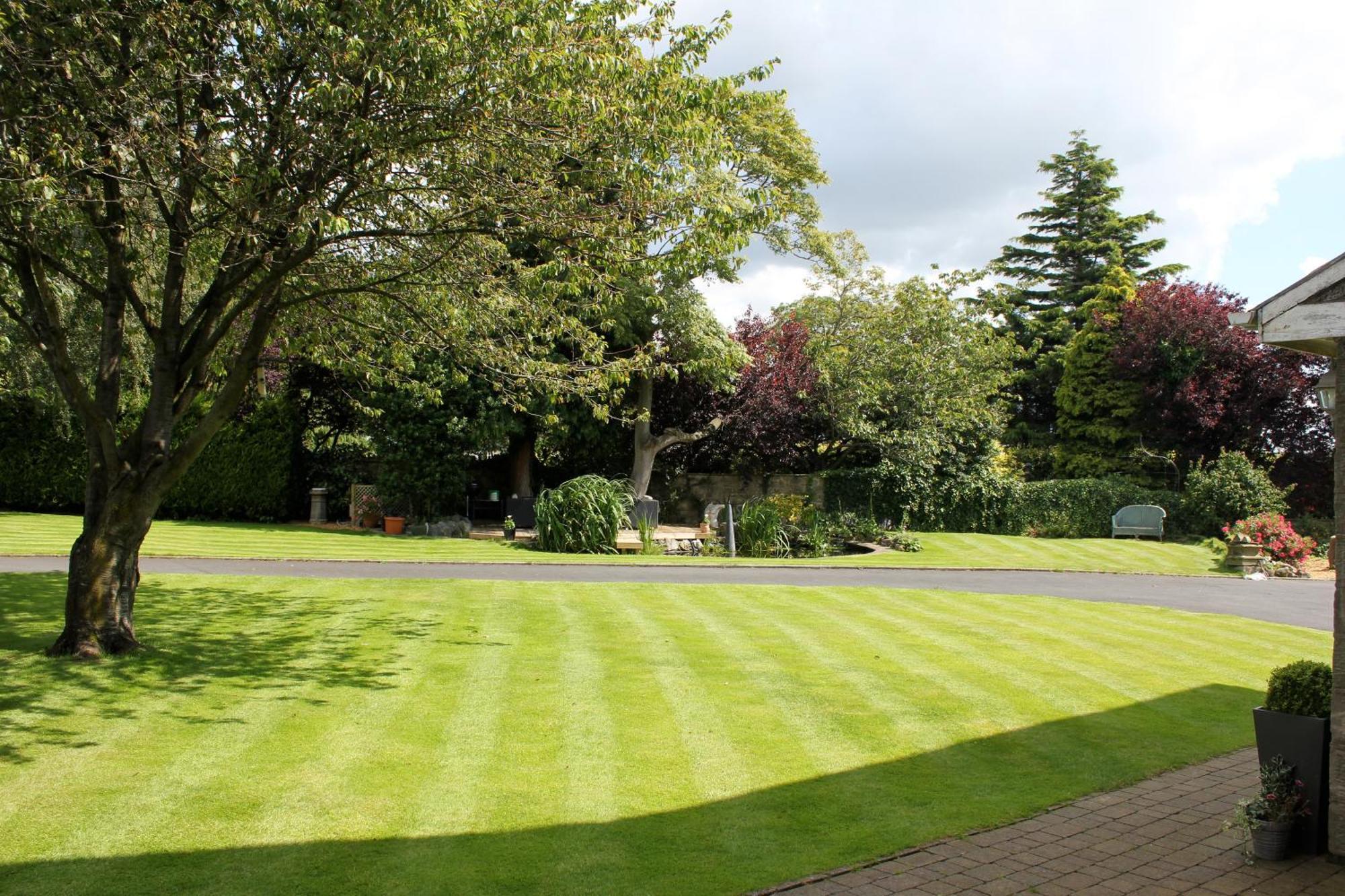 Hazel Manor Pensionat Harrogate Exteriör bild