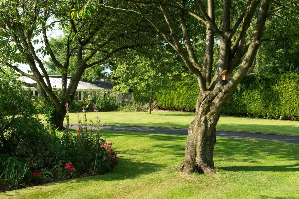 Hazel Manor Pensionat Harrogate Exteriör bild
